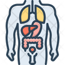 پیش‌نمایش فایل anatomy-14171615 از پک آموزش و پرورش