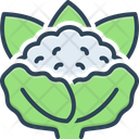 پیش‌نمایش فایل cauliflower-14109911 از پک سبزیجات
