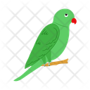 پیش‌نمایش فایل parrot-14127291 از پک حیوانات