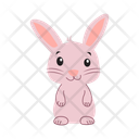 پیش‌نمایش فایل rabbit-14127293 از پک حیوانات