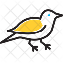 پیش‌نمایش فایل bird-14220165 از پک مجموعه متفرقه شماره ۱۴۹