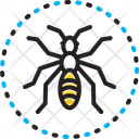 پیش‌نمایش فایل black-ants-14214766 از پک مجموعه متفرقه شماره ۱۵۴