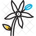 پیش‌نمایش فایل bluestar-flower-14377440 از پک گل