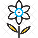 پیش‌نمایش فایل daffodil-14377442 از پک گل
