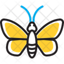 پیش‌نمایش فایل butterfly-14377273 از پک حشرات