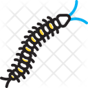 پیش‌نمایش فایل centipede-14377276 از پک حشرات