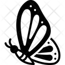 پیش‌نمایش فایل butterfly-14917755 از پک عید پاک