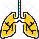 پیش‌نمایش فایل lungs-14958683 از پک مجموعه متفرقه شماره ۱۹۳