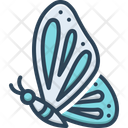 پیش‌نمایش فایل butterfly-14977435 از پک عید پاک