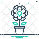 پیش‌نمایش فایل begonia-15457113 از پک گل‌ها