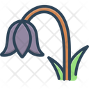 پیش‌نمایش فایل bluebell-15570626 از پک گل‌ها