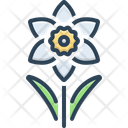 پیش‌نمایش فایل daffodil-15570631 از پک گل‌ها