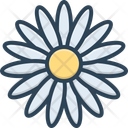 پیش‌نمایش فایل daisy-15570633 از پک گل‌ها