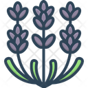 پیش‌نمایش فایل lavender-15570639 از پک گل‌ها