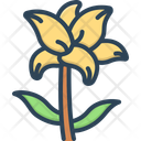پیش‌نمایش فایل lily-15570640 از پک گل‌ها