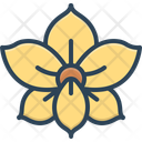 پیش‌نمایش فایل orchid-15570643 از پک گل‌ها