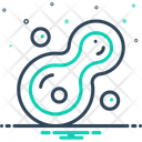 پیش‌نمایش فایل cell-division-15592552 از پک نوزاد آزمایشگاهی