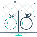 پیش‌نمایش فایل past-1906978 از پک متفرقه