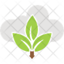 پیش‌نمایش فایل carbon-offset-programs-16436199 از پک کسب‌وکار سبز رفتن
