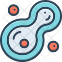 پیش‌نمایش فایل cell-division-15979274 از پک نوزاد آزمایشگاهی
