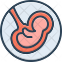 پیش‌نمایش فایل fetus-15979280 از پک نوزاد آزمایشگاهی
