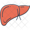 پیش‌نمایش فایل hepatology-1981698 از پک پزشکی