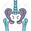 پیش‌نمایش فایل pelvic-1981691 از پک پزشکی