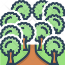 پیش‌نمایش فایل trees-2085023 از پک متفرقه