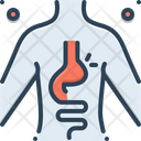 پیش‌نمایش فایل hernia-2136437 از پک متفرقه