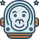 پیش‌نمایش فایل monkey-of-the-space-2161457 از پک متفرقه