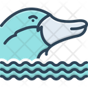 پیش‌نمایش فایل platypus-2206006 از پک متفرقه