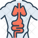 پیش‌نمایش فایل anatomy-2264383 از پک آناتومی بدن انسان