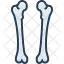 پیش‌نمایش فایل femur-2264373 از پک آناتومی بدن انسان