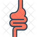پیش‌نمایش فایل intestine-2264367 از پک آناتومی بدن انسان