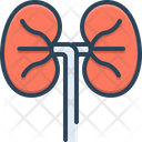 پیش‌نمایش فایل kidneys-2264365 از پک آناتومی بدن انسان