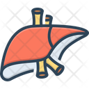 پیش‌نمایش فایل liver-2264364 از پک آناتومی بدن انسان