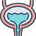 پیش‌نمایش فایل bladder-2264617 از پک آناتومی بدن انسان