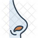 پیش‌نمایش فایل nose-2264610 از پک آناتومی بدن انسان