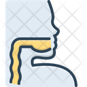پیش‌نمایش فایل pharynx-2264607 از پک آناتومی بدن انسان