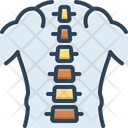 پیش‌نمایش فایل spine-2264630 از پک آناتومی بدن انسان