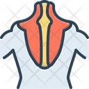 پیش‌نمایش فایل trapezius-2264623 از پک آناتومی بدن انسان