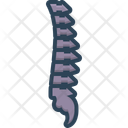 پیش‌نمایش فایل vertebra-2264621 از پک آناتومی بدن انسان