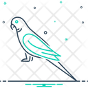 آیکن