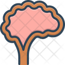 پیش‌نمایش فایل brain-2469553 از پک طراحی وب و توسعه