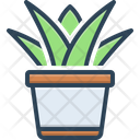 پیش‌نمایش فایل succulent-plant-2499335 از پک متفرقه