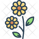 پیش‌نمایش فایل flowers-2502068 از پک متفرقه