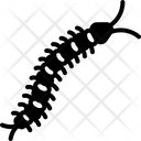 پیش‌نمایش فایل centipede-2525825 از پک حشرات