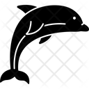 پیش‌نمایش فایل dolphin-2533452 از پک حیوان آبزی