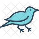 پیش‌نمایش فایل bird-2646766 از پک متفرقه