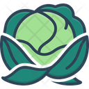 پیش‌نمایش فایل cabbage-2715519 از پک سبزیجات
